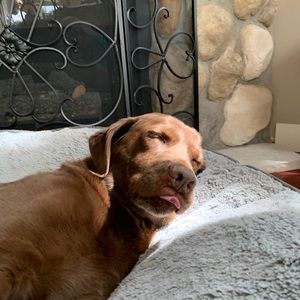 Meet your Posher, Maddy